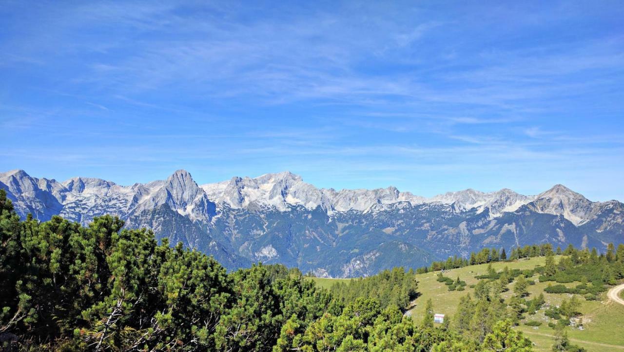Ferienhaus Mountain View Spital Am Pyhrn Ngoại thất bức ảnh